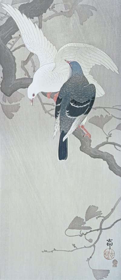 Két galamb az esőben egy ginkgo fa ágán alkotó: Ohara Koson