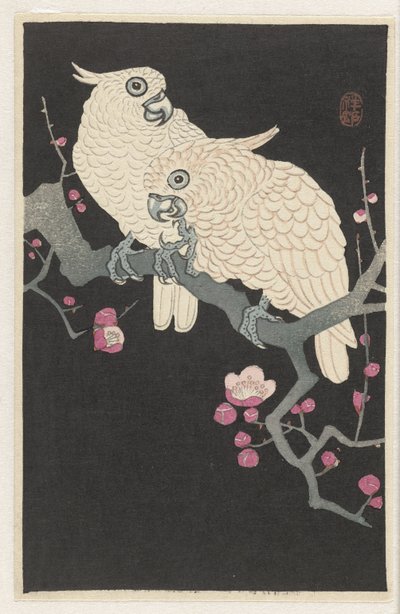 Két kakadu és szilvavirág alkotó: Ohara Koson