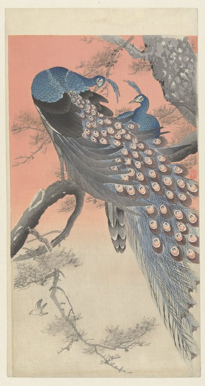 Két páva egy fa ágán alkotó: Ohara Koson