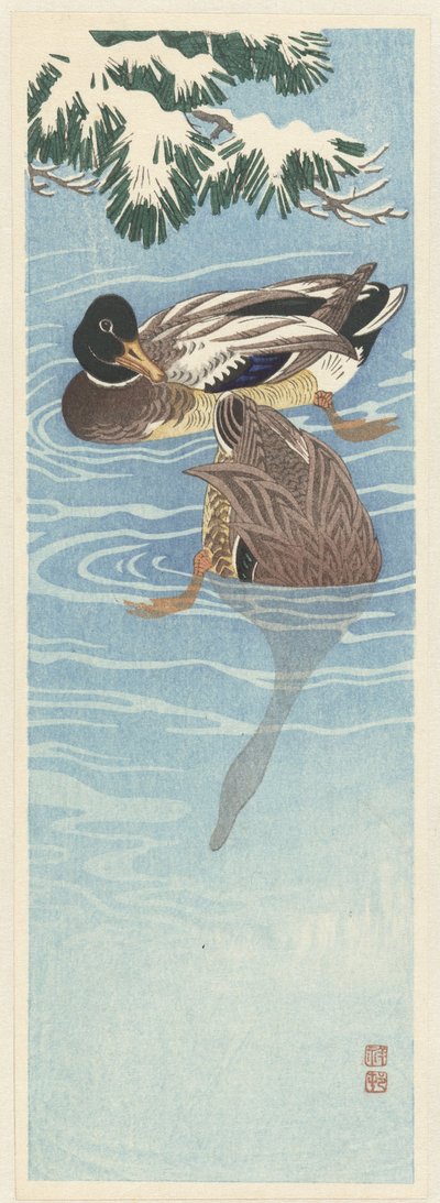 Két vadkacsa a vízben alkotó: Ohara Koson