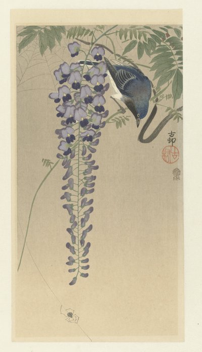 Légykapó a wisteria-ban alkotó: Ohara Koson