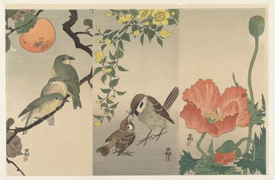 Madarak és növények alkotó: Ohara Koson