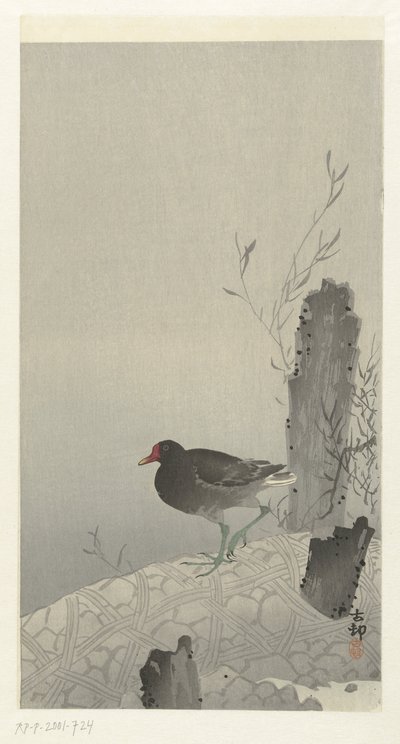 Waterhoen alkotó: Ohara Koson