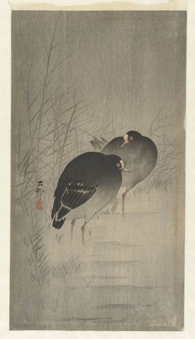Moorhens a nád között alkotó: Ohara Koson