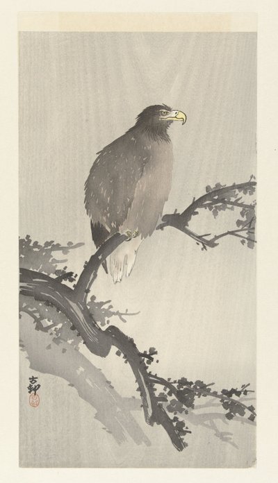 Fehérfarkú sas ágon alkotó: Ohara Koson