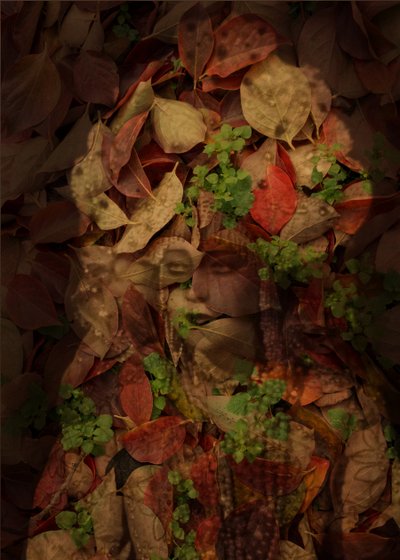 Queen of Leaves, 2025 (digitális vegyes technika) alkotó: Olivia Gozzano