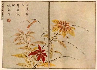Szitakötő növényekkel, 1746, 1924. alkotó: Ooka Shunboku