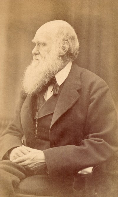 Charles Darwin portréja 72 évesen, 1871 körül (albumnyomat) alkotó: Oscar Gustav Rejlander
