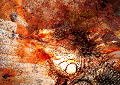 Tüzes iguana portré alkotó: Osvaldo Russo