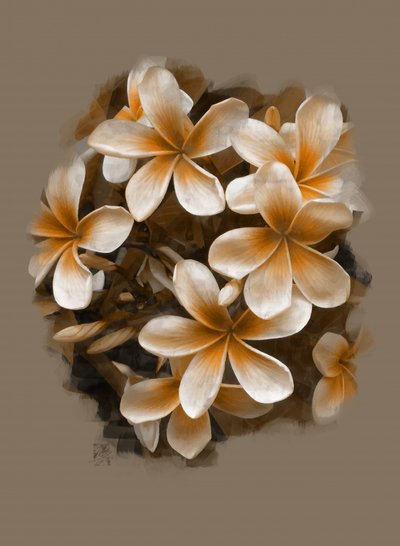 Virágzó trópusi plumeria alkotó: Osvaldo Russo