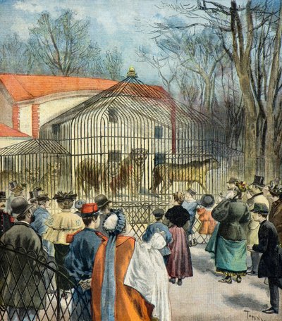 Az új fauve rotunda a Jardin des Plantes-ban alkotó: Oswaldo Tofani
