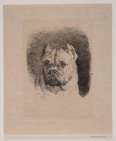 Egy kutya fejét alkotó: Otto Bache