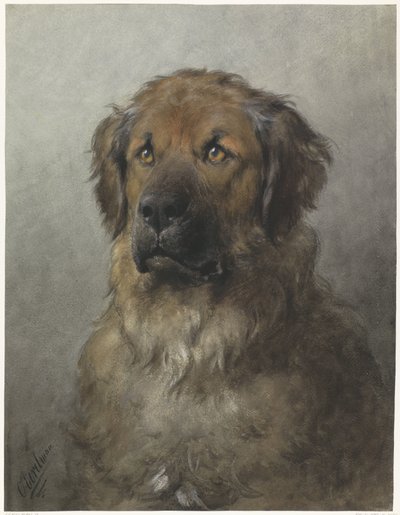 Egy Leonberger feje Egy Leonberger feje, elölről alkotó: Otto Eerelman