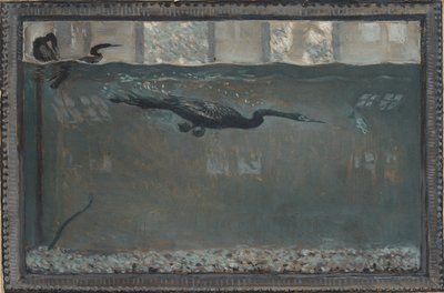 Búvárkormorán, 1900. alkotó: Otto H. Bacher