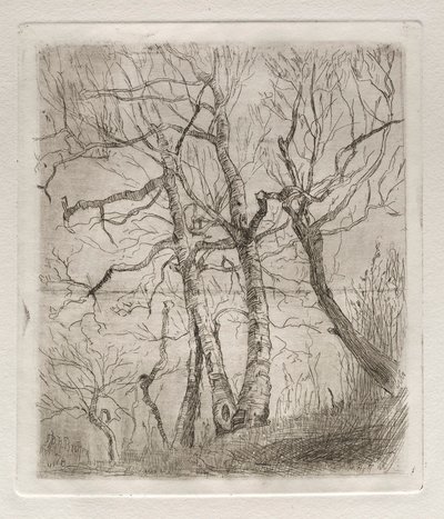 Fák, 1878. alkotó: Otto H. Bacher