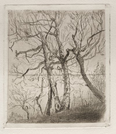 Woods by the Lake alkotó: Otto H. Bacher