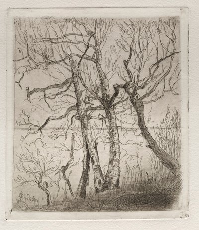 Erdő a tó mellett, 1878. alkotó: Otto H. Bacher