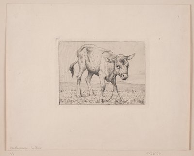 Egy borjú alkotó: Otto Haslund