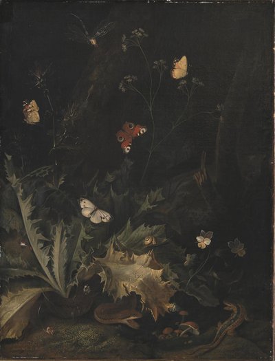 Erdőtalaj bogáncssal, kígyóval, gyíkkal és pillangókkal alkotó: Otto Marseus  van Schrieck