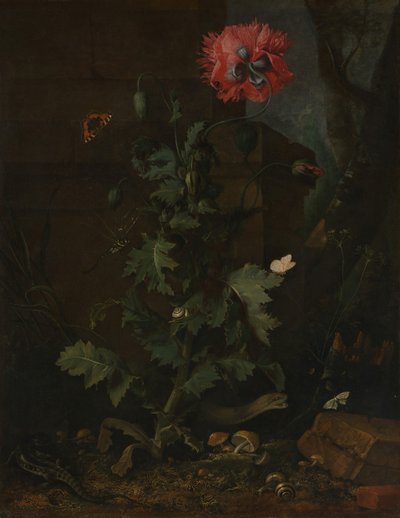 Csendélet mákkal, rovarokkal és hüllőkkel, kb. 1670. alkotó: Otto Marseus  van Schrieck