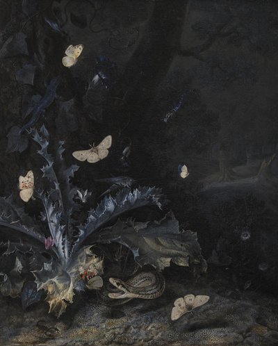 Csendélet bogáncssal és kígyóval alkotó: Otto Marseus  van Schrieck
