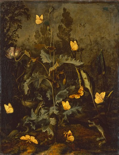 A kígyó a madárfészekben / Ópium mák madárfészekkel, kígyóval, pillangókkal és egy kis menyéttel alkotó: Otto Marseus  van Schrieck