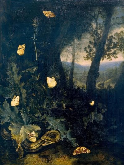 Erdőtalaj bogáncssal és kígyóval alkotó: Otto Marseus  van Schrieck