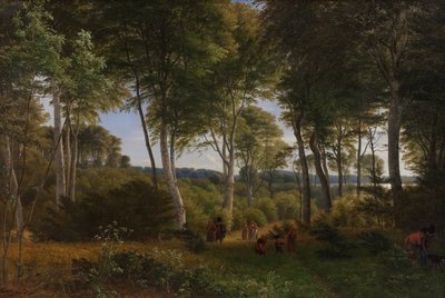 Delhoved Wood a Skarre-tó közelében, Zélandon. Délutáni fény alkotó: P.C. Skovgaard