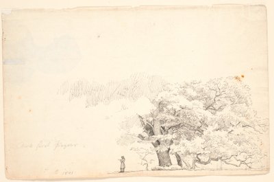 Nagy tölgyfák, t.v. olvasó ember. alkotó: P.C. Skovgaard