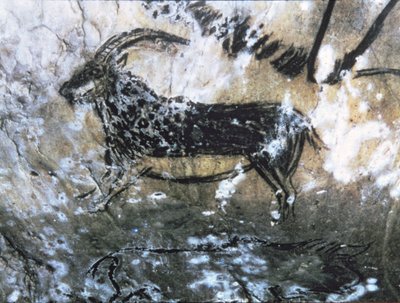 Kecske vagy zerge, sziklafestés a Fekete szobában, Magdalén (barlangfestés) alkotó: Paleolithic Paleolithic