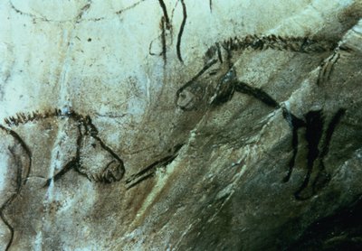 Lovak, sziklafestmények a Fekete szobában, Magdalén (barlangfestés) alkotó: Paleolithic Paleolithic