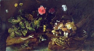 Csendélet kígyóval, békákkal, teknőssel és gyíkkal (olaj, vászon) alkotó: Paolo Porpora