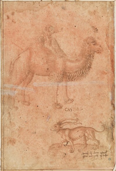 Ein Kamel mit einem reitenden Kind. Darunter ein fabelhaftes Tier (Castoro) alkotó: Paolo Uccello