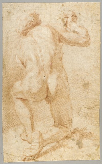 Rajzolás alkotó: Paolo de Matteis