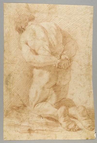 Rajzolás alkotó: Paolo de Matteis