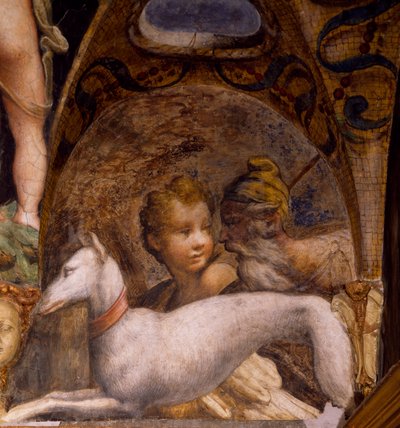 Kutya és vadász, Diana mítoszából és Actaeonból alkotó: Parmigianino