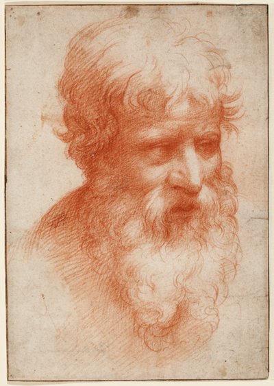 Egy szakállas férfi feje, jobbra néz, 1523-25 körül (piros kréta papíron) alkotó: Parmigianino (1503 40)