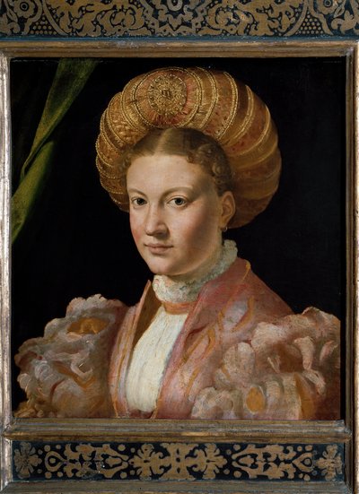 Egy fiatal nő, Gozzadini grófnő portréja. (Festés alkotó: Parmigianino