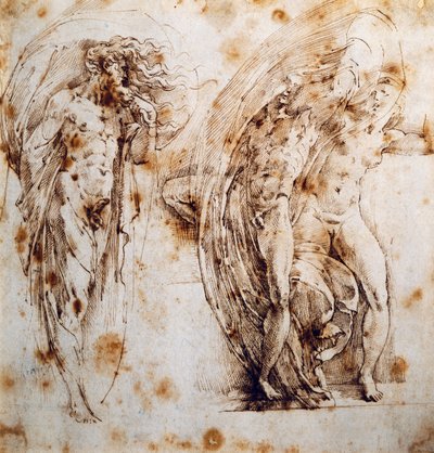 Vulkán bosszúja alkotó: Parmigianino