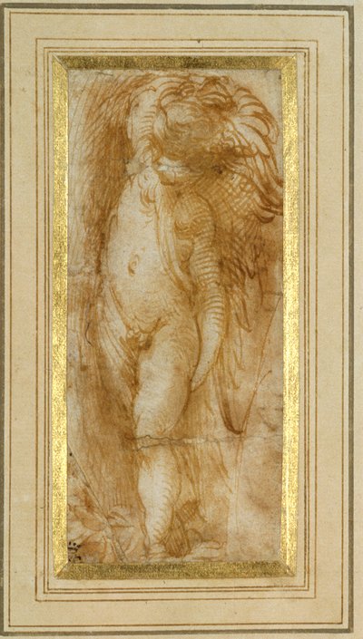 Balra fordított puttó (toll és barna tinta papíron) alkotó: Parmigianino