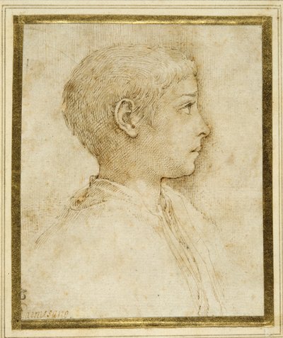 Egy fiú mellszobra profilban jobbra (toll és barna tinta fehér papíron) alkotó: Parmigianino