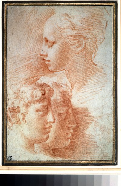 "Etude de tetes" (A fejek tanulmányozása). Fiatal lány és fiú arcprofilja. Girolamo Francesco Maria Mazzola vagy Mazzuoli dit il Parmigianino (A parmezán) rajza alkotó: Parmigianino