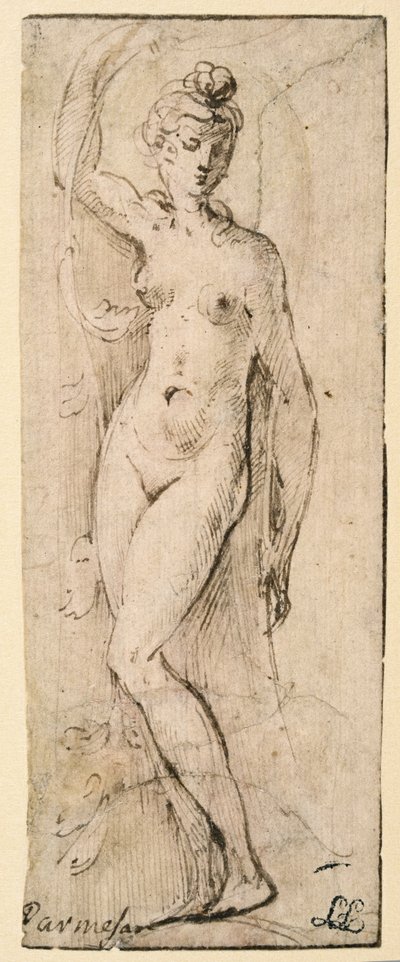Női alak – Santa Maria della Steccata-tanulmány, Parma (recto) alkotó: Parmigianino