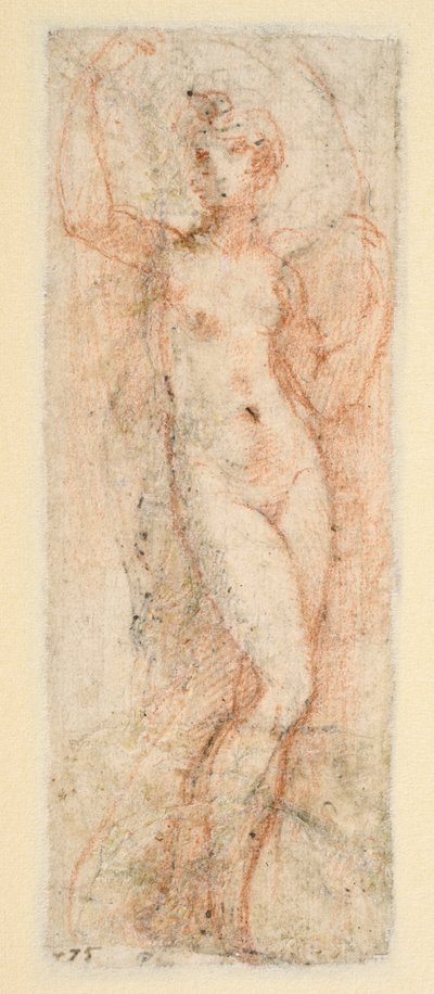 Női alak – tanulmány a Steccata számára (verso) alkotó: Parmigianino