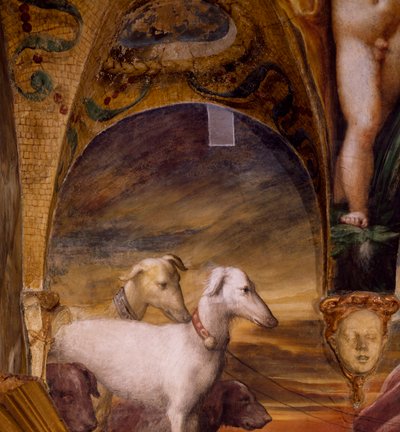 Kutyacsoport a Diana mítoszából és az Actaeonból alkotó: Parmigianino