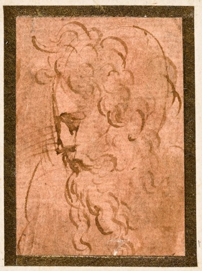 Férfi fej alkotó: Parmigianino