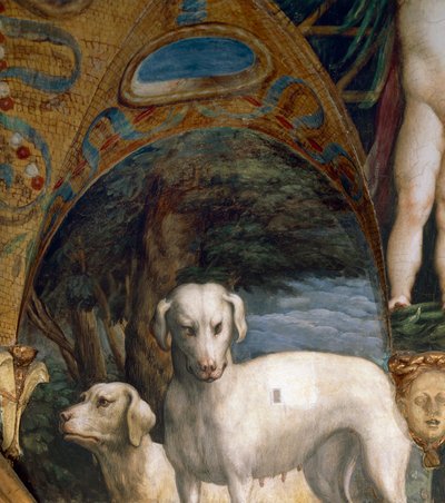 Kutyapár, részlet Diana és Actaeon mítoszából, Francesco Mazzola, Parmigianino (1503-1540), freskó, Diana és Actaeon szobájának északi oldala, Rocca Sanvitale, Fontanellato, Parma közelében, Olaszország, 1524 körül alkotó: Parmigianino
