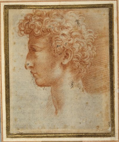 Egy fiatal férfi profilja (piros kréta fehér papíron) alkotó: Parmigianino