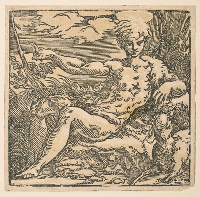 Keresztelő Szent János a pusztában alkotó: Parmigianino