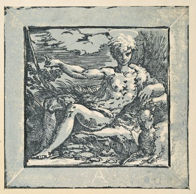 Keresztelő Szent János a pusztában alkotó: Parmigianino